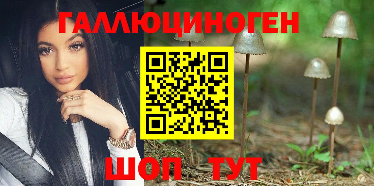 Майкоп  Псилоцибиновые грибы Psilocybine cubensis  Вход с VPN 
